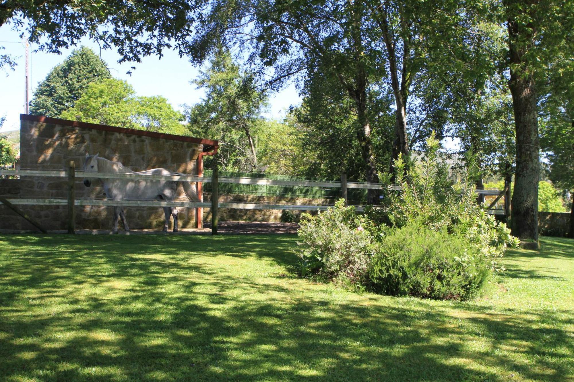 Casa De Sao Silvestre Βίλα Porreiras Εξωτερικό φωτογραφία